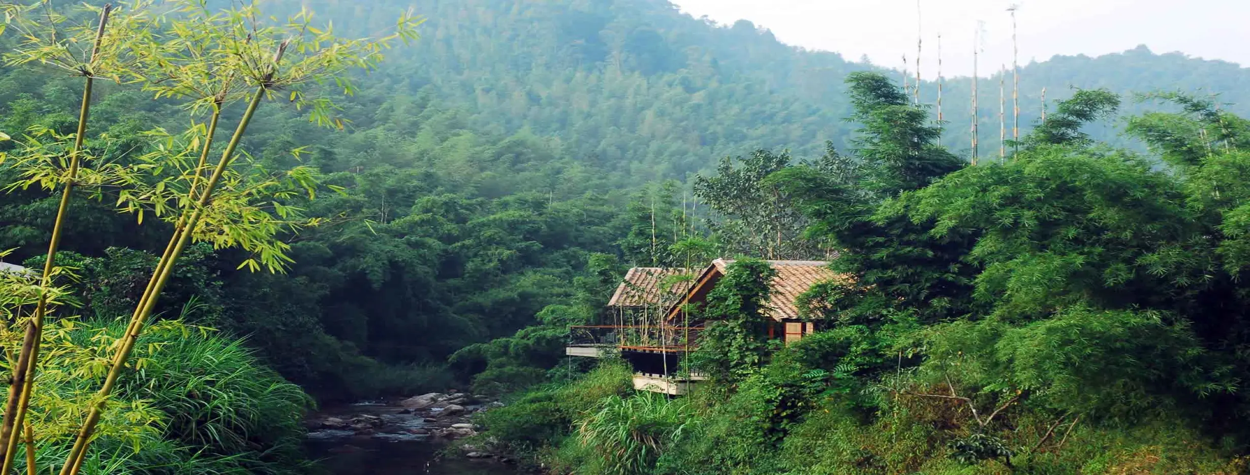 Image for Ecotourism Paradise